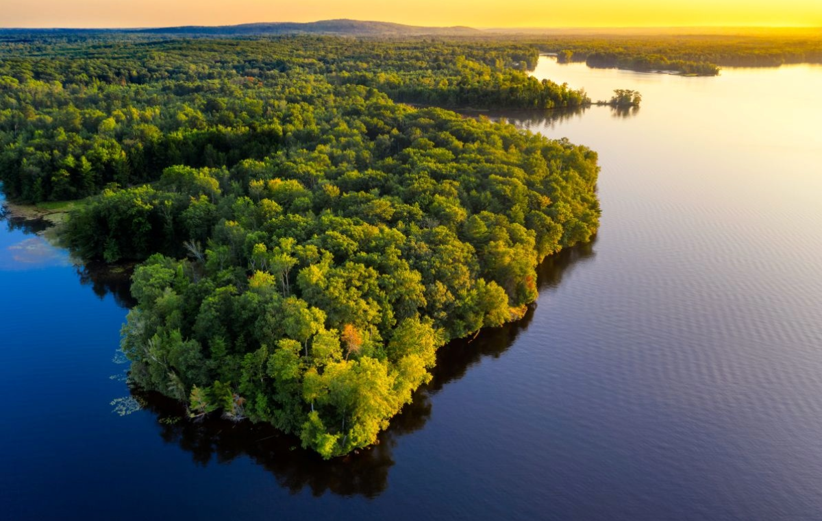 3M’s Commitment to Sustainability: Innovations for a Greener Future